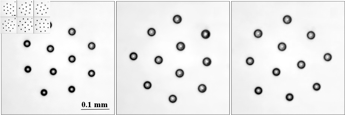 Images of small clusters of water droplets: (a—c) at c_av = 0.3%, where (a) is t = 0 s, (b) is t = 90 s, and (c) is t = 290 s