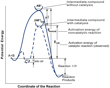 Energy changes in catalyzed and uncatalyzed reactions.
