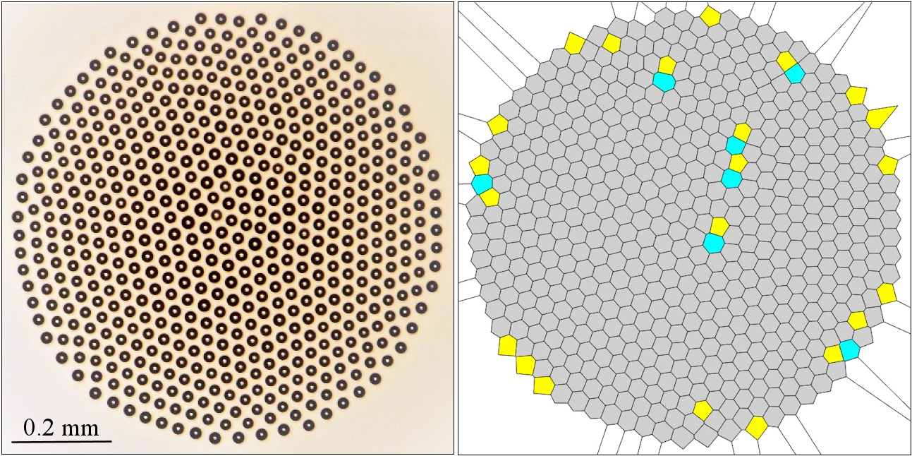 Change of droplet cluster with the parameter K: (a, b)  K = 17.2 K/mm, S = 0.24; (a) image of clusters; and (b) Voronoi tessellations (pentagons, hexagons, and heptagons, highlighted in yellow, gray, and blue, respectively)