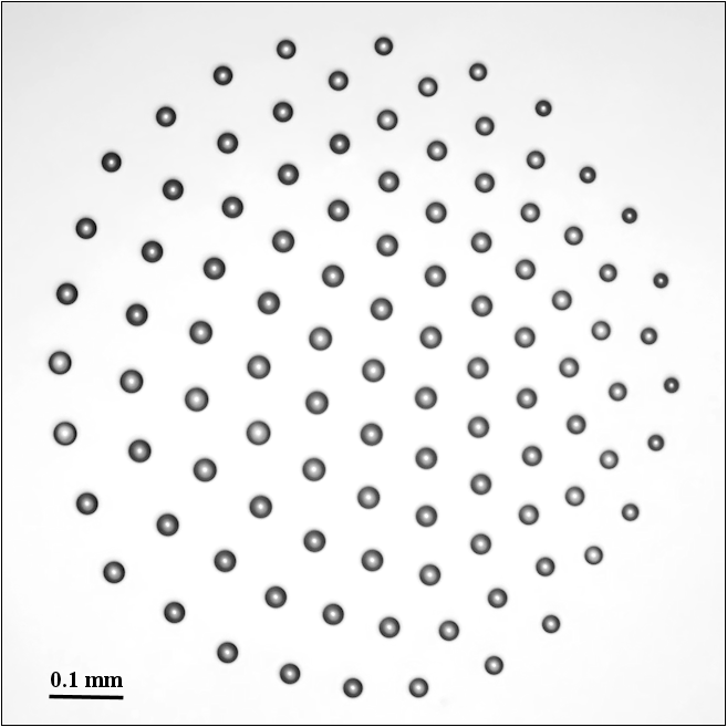 Typical upper view of the droplet cluster consisting of a large number of droplets; the photograph was taken after prolonged infrared irradiation of the cluster (Reprinted from Dombrovsky et al. with permission from Elsevier, Copyright 2020).