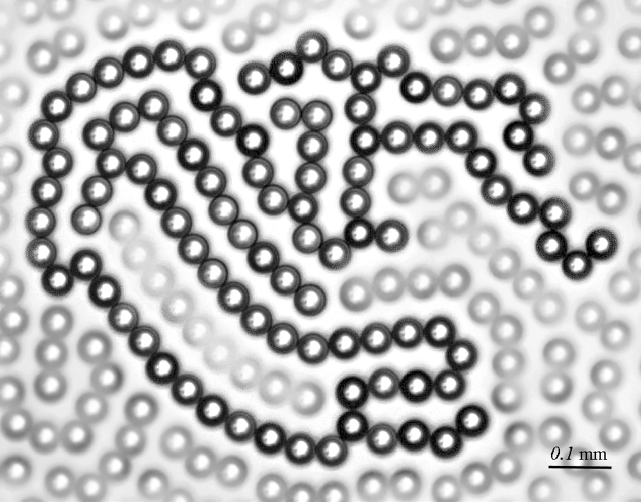 Long-branched droplet chain, built of 101 droplets (Reprinted from Frenkel et al. with permission from the American Physical Society, Copyright 2022)