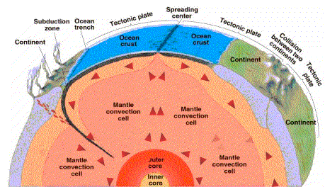 The structure of the Earth and the scheme of convective movements