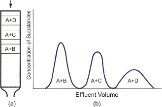 Schematic diagram of elution chromatography.