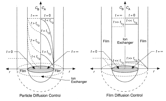 Radial concentration profiles at different times for ideal particle diffusion and film diffusion control. The right hand sides of the diagrams show the profiles of species A (initially in the resin) and the left sides, those of species B (initially in solution). From Helfferich, F. (1962) Ion Exchange, McGraw Hill Co., with permission.